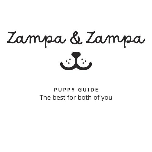 Zampa&Zampa